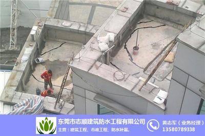 建筑结构防水补漏与天花补漏服务详解 — 望牛墩及东莞志顺防水补漏实践