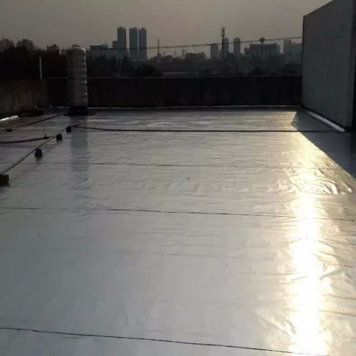 深圳罗湖屋面防水补漏与建筑结构防水补漏全攻略